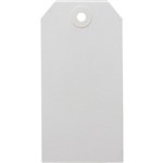 AVERY 14160 SHIPPING TAG SIZE 4 108 X 54MM WHITE BOX 1000