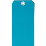 AVERY 18120 SHIPPING TAG SIZE 8 160 X 80MM BLUE BOX 1000