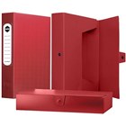 Box Files With Shimmer Finish