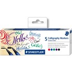 Calligraphy Pens